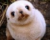 thumb-image-2024-02-29T13:57:51.842Z