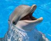 thumb-image-2024-02-29T13:57:52.369Z
