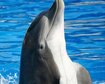 thumb-image-2024-02-29T13:57:52.659Z