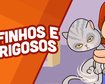 thumb-image-2024-02-29T13:57:52.802Z