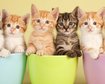 thumb-image-2024-02-29T13:57:52.966Z