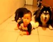 thumb-image-2024-02-29T13:57:53.458Z