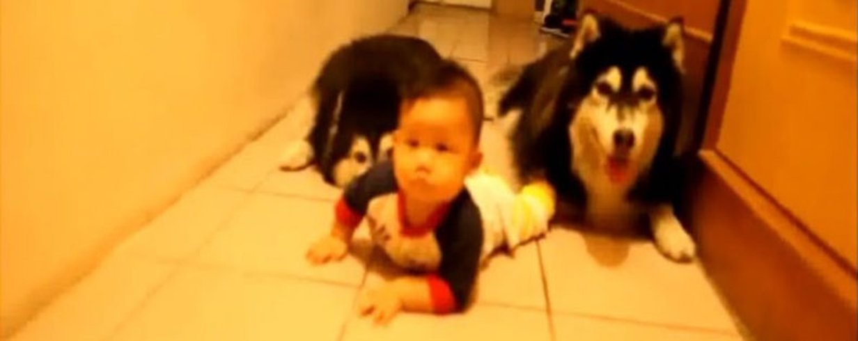 thumb-image-2024-02-29T13:57:53.458Z