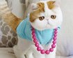 thumb-image-2024-02-29T13:57:53.629Z