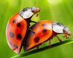thumb-image-2024-02-29T13:57:53.913Z