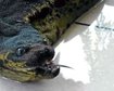 thumb-image-2024-02-29T13:57:54.324Z