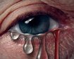 thumb-image-2024-02-29T13:57:54.457Z