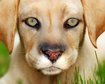 thumb-image-2024-02-29T13:57:54.585Z