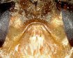 thumb-image-2024-02-29T13:57:55.382Z