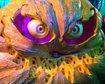 thumb-image-2024-02-29T13:57:55.957Z