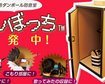 thumb-image-2024-02-29T13:57:56.209Z