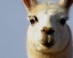 thumb-image-2024-02-29T13:57:56.900Z