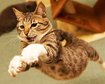thumb-image-2024-02-29T13:57:57.531Z