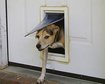 thumb-image-2024-02-29T13:57:57.646Z