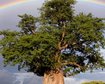 thumb-image-2024-02-29T13:57:58.584Z