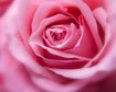 thumb-image-2024-02-29T13:57:59.073Z