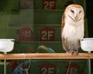 thumb-image-2024-02-29T13:57:59.916Z