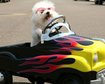 thumb-image-2024-02-29T13:58:00.067Z