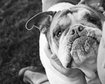 thumb-image-2024-02-29T13:58:00.239Z