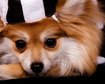 thumb-image-2024-02-29T13:58:00.676Z