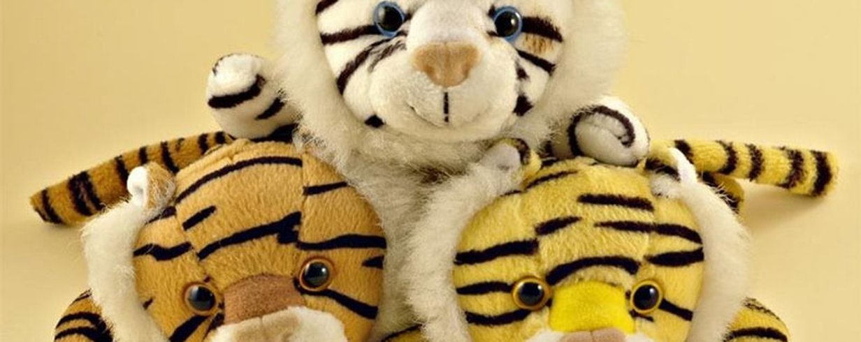 thumb-image-2024-02-29T13:58:00.791Z