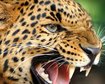thumb-image-2024-02-29T13:58:00.801Z