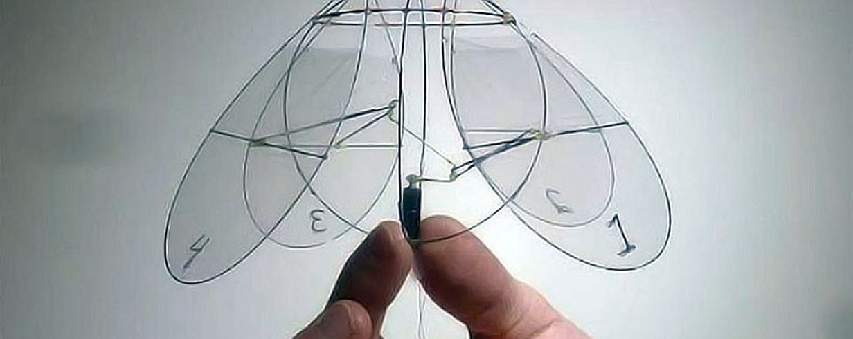 thumb-image-2024-02-29T13:58:00.892Z