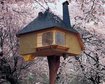 thumb-image-2024-02-29T13:58:01.140Z