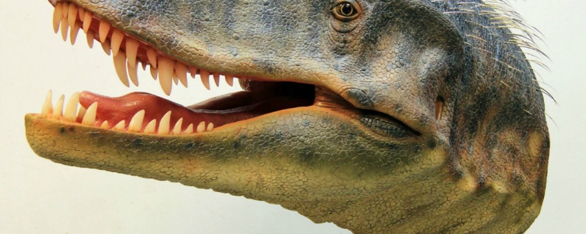 Estudo sugere que existiam duas espécies de tiranossauro além do T. Rex