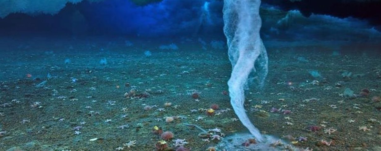 thumb-image-2024-02-29T13:58:02.071Z