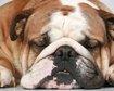 thumb-image-2024-02-29T13:58:02.152Z