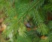 thumb-image-2024-02-29T13:58:02.728Z
