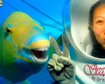 thumb-image-2024-02-29T13:58:02.910Z