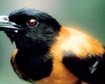 thumb-image-2024-02-29T13:58:02.972Z