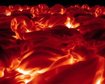 thumb-image-2024-02-29T13:58:03.128Z