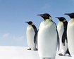 thumb-image-2024-02-29T13:58:03.539Z