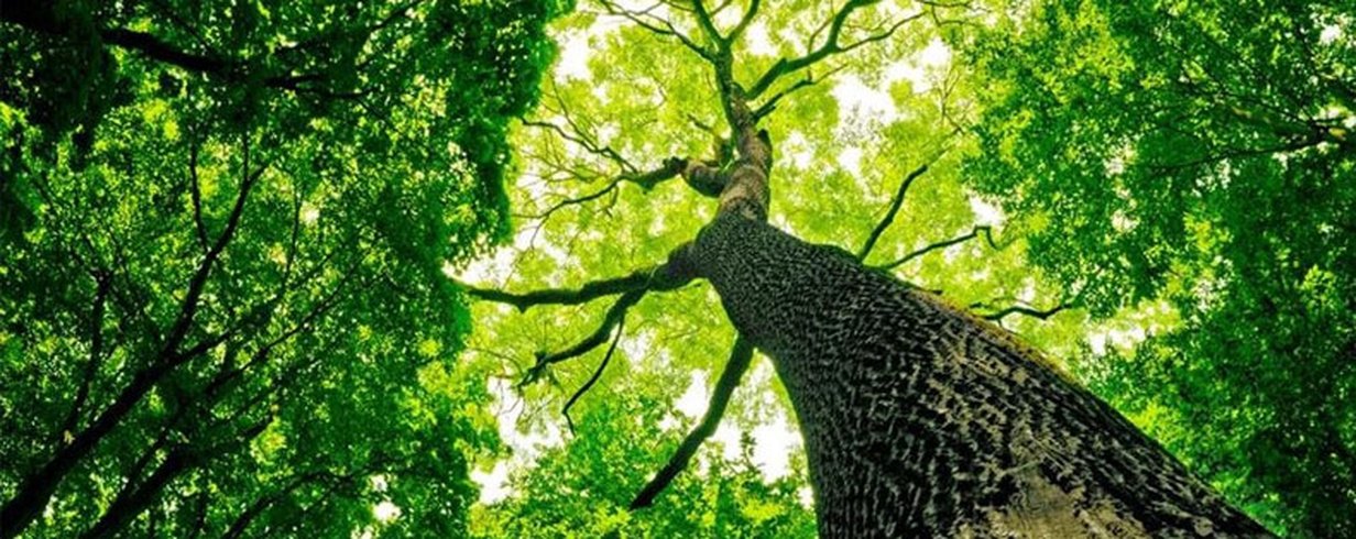 thumb-image-2024-02-29T13:58:03.645Z