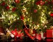 thumb-image-2024-02-29T13:58:04.048Z