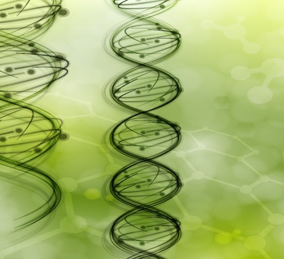 Cientistas descobrem uma dupla interpretação no código genético humano