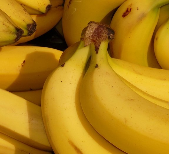 Será que vamos testemunhar um 'bananapocalípse'?