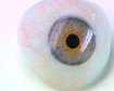 thumb-image-2024-02-29T13:57:19.034Z