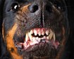 thumb-image-2024-02-29T13:57:19.299Z