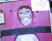 thumb-image-2024-02-29T13:57:19.627Z