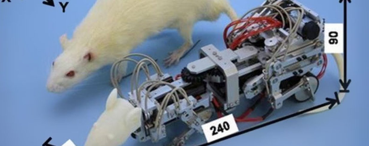 thumb-image-2024-02-29T13:57:20.923Z