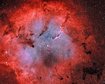 thumb-image-2024-02-29T13:57:21.331Z