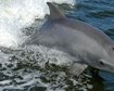 thumb-image-2024-02-29T13:57:21.776Z