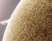 thumb-image-2024-02-29T13:57:22.137Z