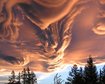 thumb-image-2024-02-29T13:57:22.972Z