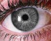 thumb-image-2024-02-29T13:57:23.444Z