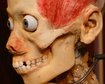 thumb-image-2024-02-29T13:57:24.027Z